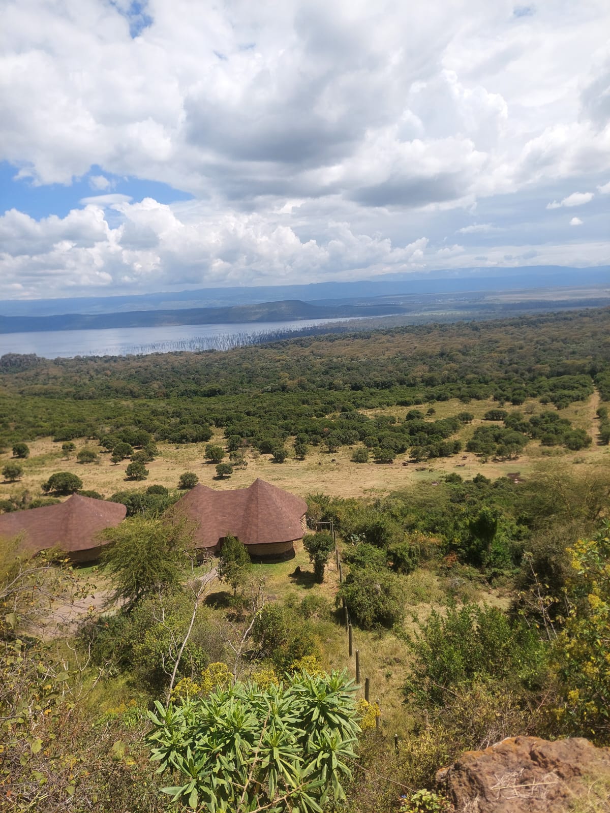 Game drive in the Maasai Mara
