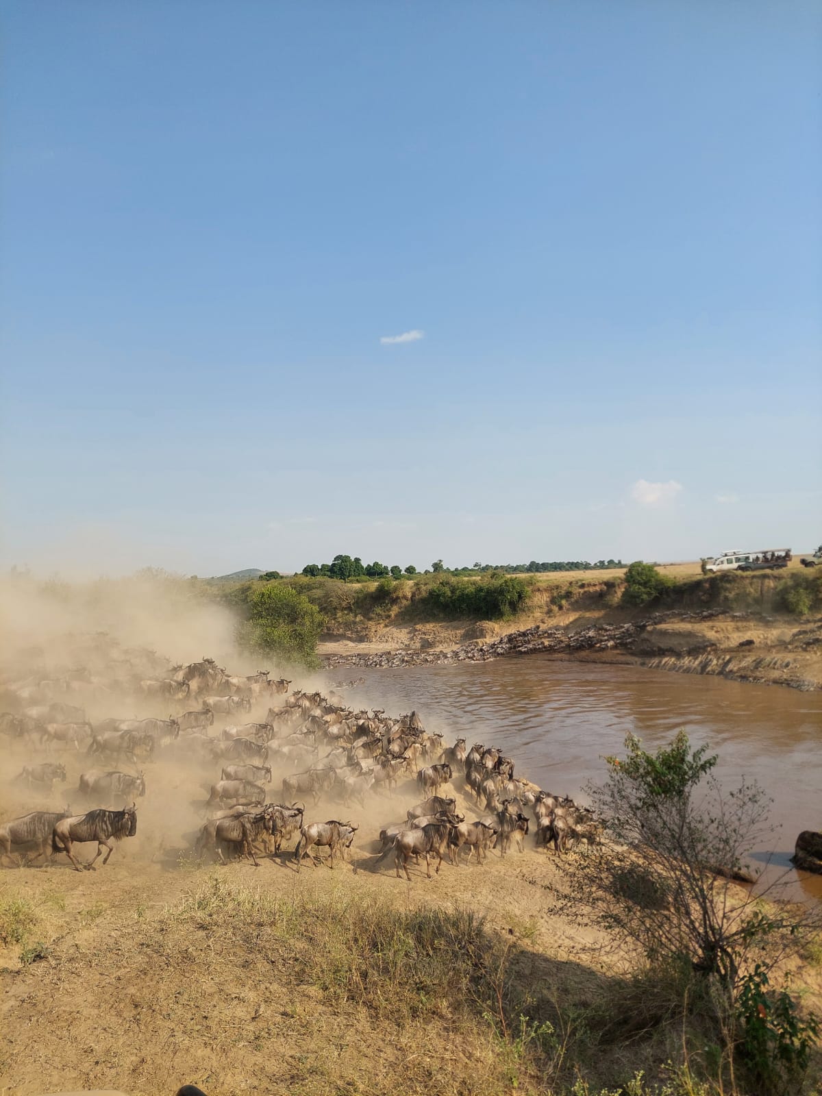 Safari camp accommodation